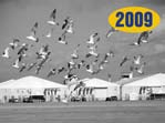 ΟΓΔΟΗ ΔΙΟΡΓΑΝΩΣΗ: PHOTOVISION 2009 (5-9 Μαρτίου 2009) Πραγματοποιήθηκε στον ίδιο εκθεσιακό χώρο - όπως και η προηγούμενη διοργάνωση - τελούσε υπό την αιγίδα του ΣΕΚΑΦ και είχε εκ νέου χορηγό