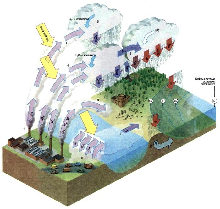 Atmosfera lasa radiatia luminoasa a Soarelui sa ajunga pe suprafata terestra, dar retine in mare parte radiatia calorica emisa de aceasta din urma, nelasand o sa se piarda in spatial cosmic. Figura 4.