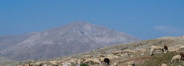 Δυο αετοφωλιές ανάμεσα στα πανύψηλα βουνά Περιστέρι και Τζουμέρκα.