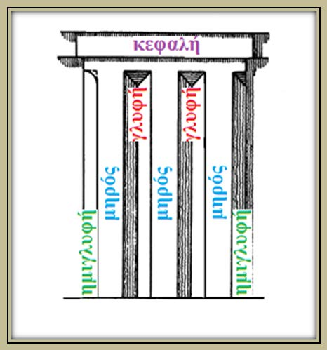 Η δωρική Ζωφόρος, στοιχείο που περιτρέχει όλο τον Παρθενώνα πάνω από το επιστύλιο, αποτελείται από δυο εναλλασσόμενα μεταξύ τους μέλη, τα τρίγλυφα και τις μετόπες (εικόνα 24.).