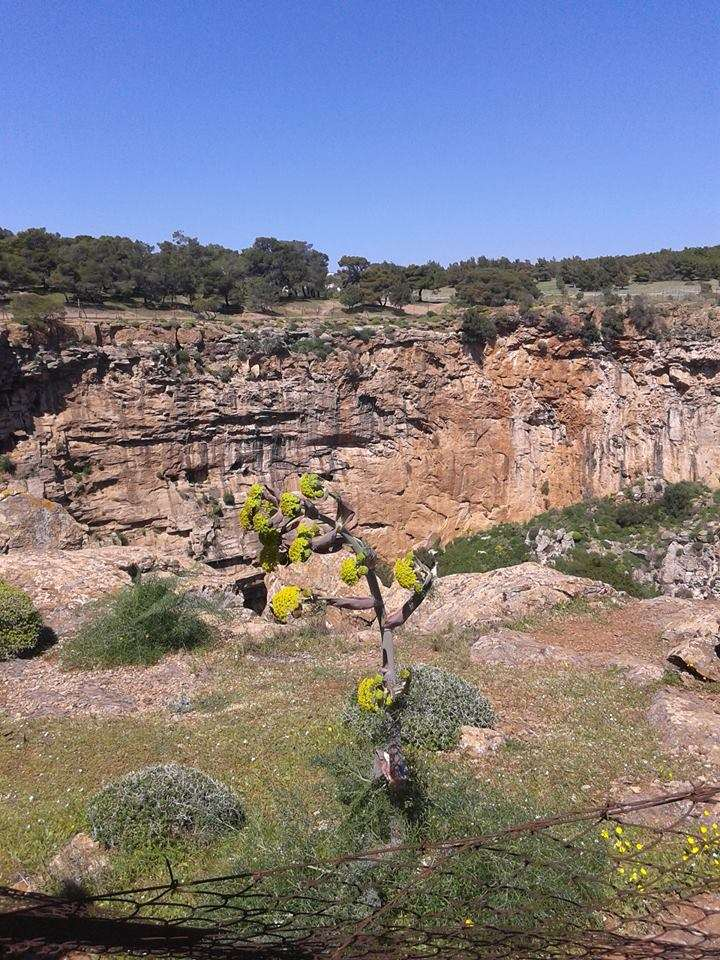 Το χάος