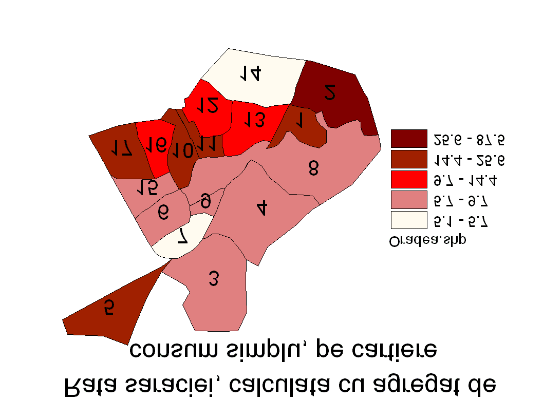 SĂRĂCIA ÎN ORADEA. STUDIU DE DIAGNOZĂ Figura 34.