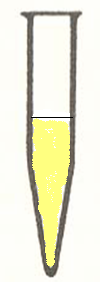 Πορείας Πειράματος Αg + (aq) Pb (aq) Hg 2 (aq) AgCl(s), PbCl 2 (s), Hg 2 Cl 2 (s) ΗCl 6 M Καταβύθιση των κατιόντων Α Ομάδας Κατιόντων με προσθήκη ΗCl