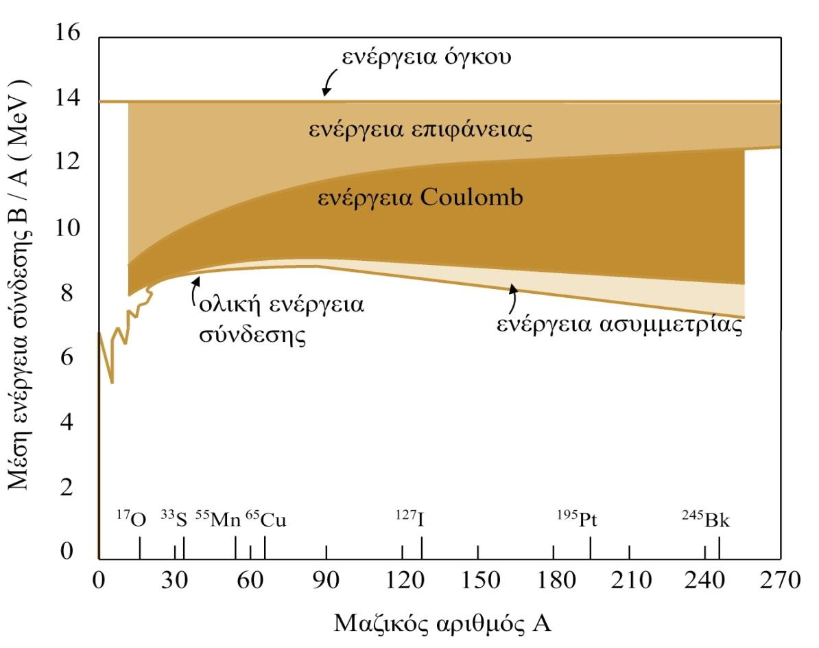 το ςχόμα που ακολουθεύ παριςτϊνεται η ςυνειςφορϊ του κϊθε όρου του αναπτύγματοσ ςτη μϋςη ενϋργεια ςύνδεςησ ανϊ νουκλεόνιο, ςυναρτόςει του μαζικού αριθμού Α. 3.