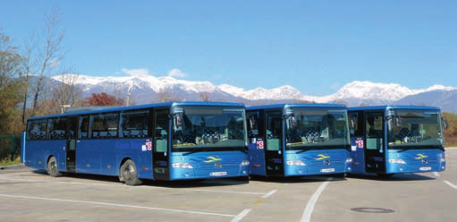 Kamniπki tekmovalci in tekmovalke so dosegli zelo dobre rezultate v dveh slogih z ukrivljenim (olimpijskim) lokom in golim lokom.