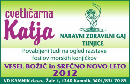 Prvo slovensko pevsko druπtvo Lira Kamnik to poëne æe od davnega leta 1882. Tradicionalni letni koncert so letos pripravili na dan rojstva najveëjega slovenskega pesnika Franceta Preπerna 3. decembra.