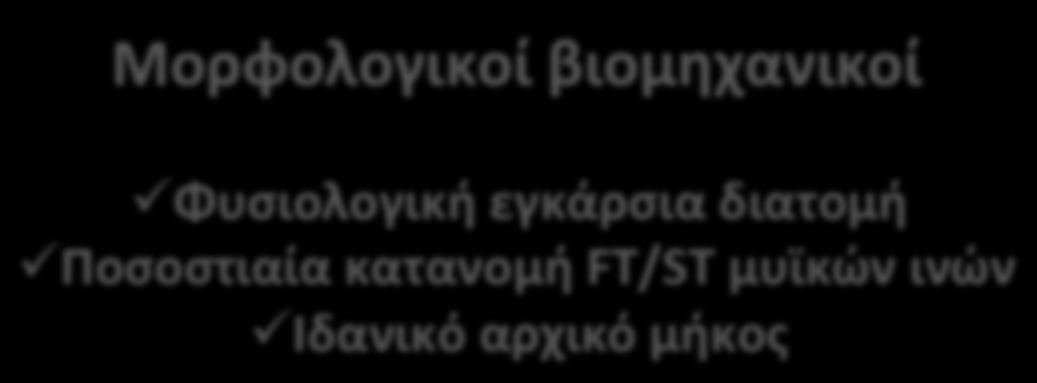 μεταβολισμός με μέγιστη ταχύτητα