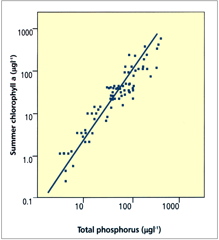 P & Chl-a H σχέση φωσφόρουχλωροφύλλης του μοντέλου OECD. Kάθε σημείο αναπαριστά μία λίμνη (από Moss 1997).