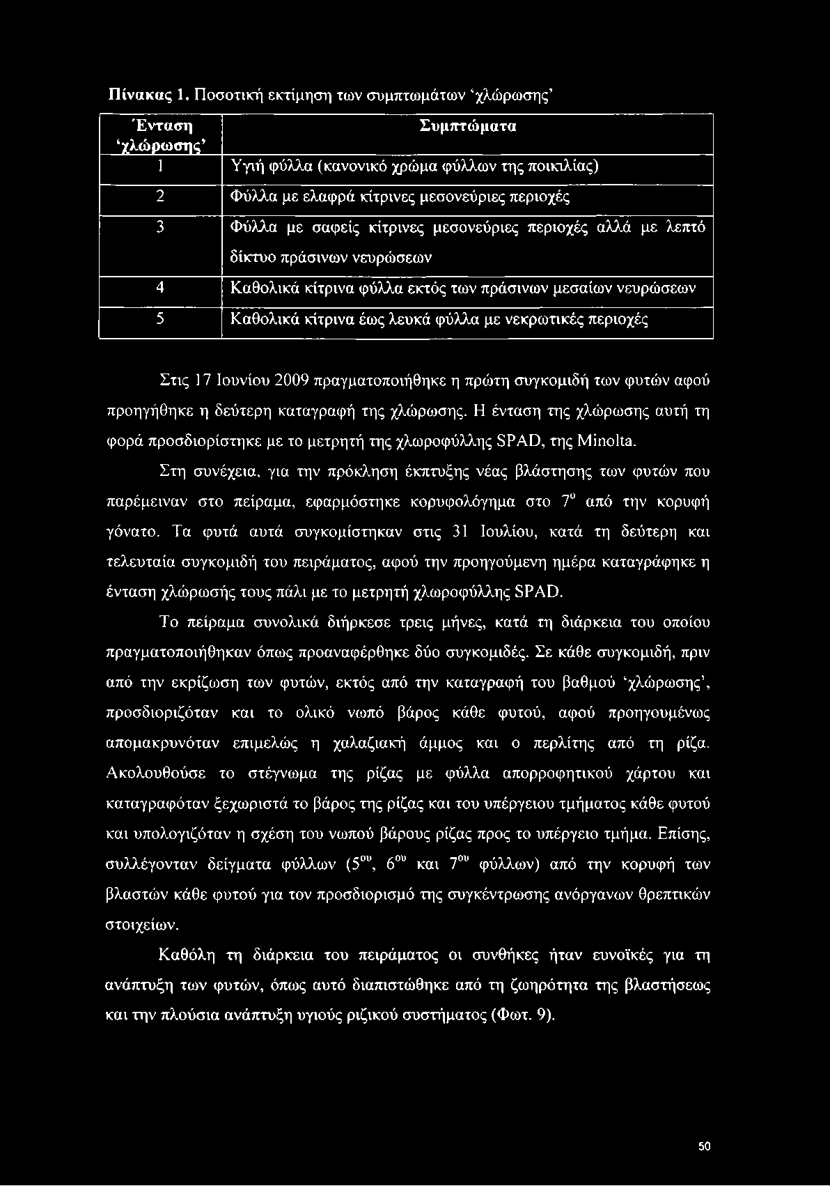 μεσονεύριες περιοχές αλλά με λεπτό δίκτυο πράσινων νευρώσεων 4 Καθολικά κίτρινα φύλλα εκτός των πράσινων μεσαίων νευρώσεων 5 Καθολικά κίτρινα έως λευκά φύλλα με νεκρωτικές περιοχές Στις 17 Ιουνίου