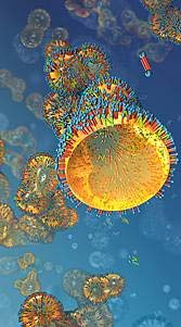 xxxx-cyclo-zzzz-transferase Επιδιωκόμενο