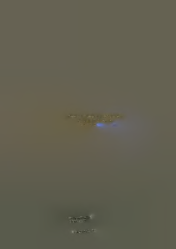 : 24210 < > ~ -