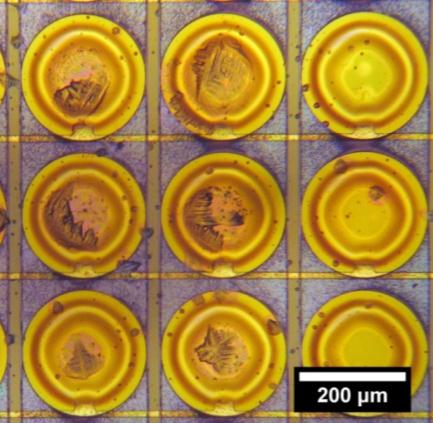 Capacitance Variation [pf] των ολιγονουκλεοτιδίων στην επιφάνεια του αισθητήρα χρησιμοποιήθηκε το πρωτόκολλο που περιγράφεται αναλυτικά στην προηγούμενη ενότητα.