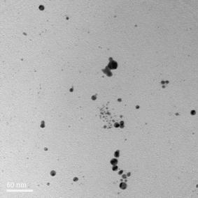 a) b) Εικόνα 70: Φωτογραφίες TEM σε σταγόνες θυλακοειδούς διαλύματος που έχουν εναποτεθεί σε ειδικό υπόστρωμα παρατήρησης (πλέγμα υπέρλεποτυ χαλκού) α) Νανοσωματίδια τιτανίου που προέκυψαν από την