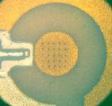 Current (na) Electrode activity vs chlorophyll mass 350 Selected mass for pesticides detection 300 250 Continuous film 200 Separated drops 0,00 0,01 0,02 0,03 0,04 Chlorophyll mass on electrode (gr)