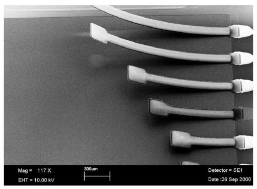 Εικόνα 13: Φωτογραφία SEM μικροπροβόλων πυριτίου επικαλυμμένων με πολυμερικό στρώμα πολυιμιδίου [Chat androulis et al. 2002].