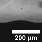 5 ο Contact angle (β) Εικόνα 38: Η γωνία επαφής του πρότυπου διαλύματος στην επιφάνεια του ηλεκτροδίου μεταξοτυπίας γραφίτη α) Εναπόθεση σταγόνας με πιπέττα β) Εναπόθεση σταγόνων με LIFT με