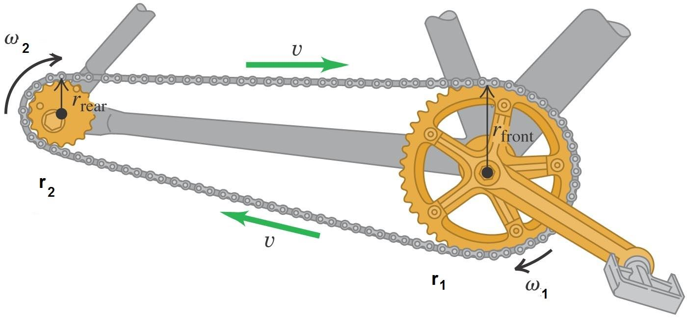 Ταχύτητες ποδηλάτου: Ποια σχέση συνδέει τα μέτρα των γωνιακών ταχυτήτων των τροχών του ποδηλάτου με των αριθμό των δοντιών