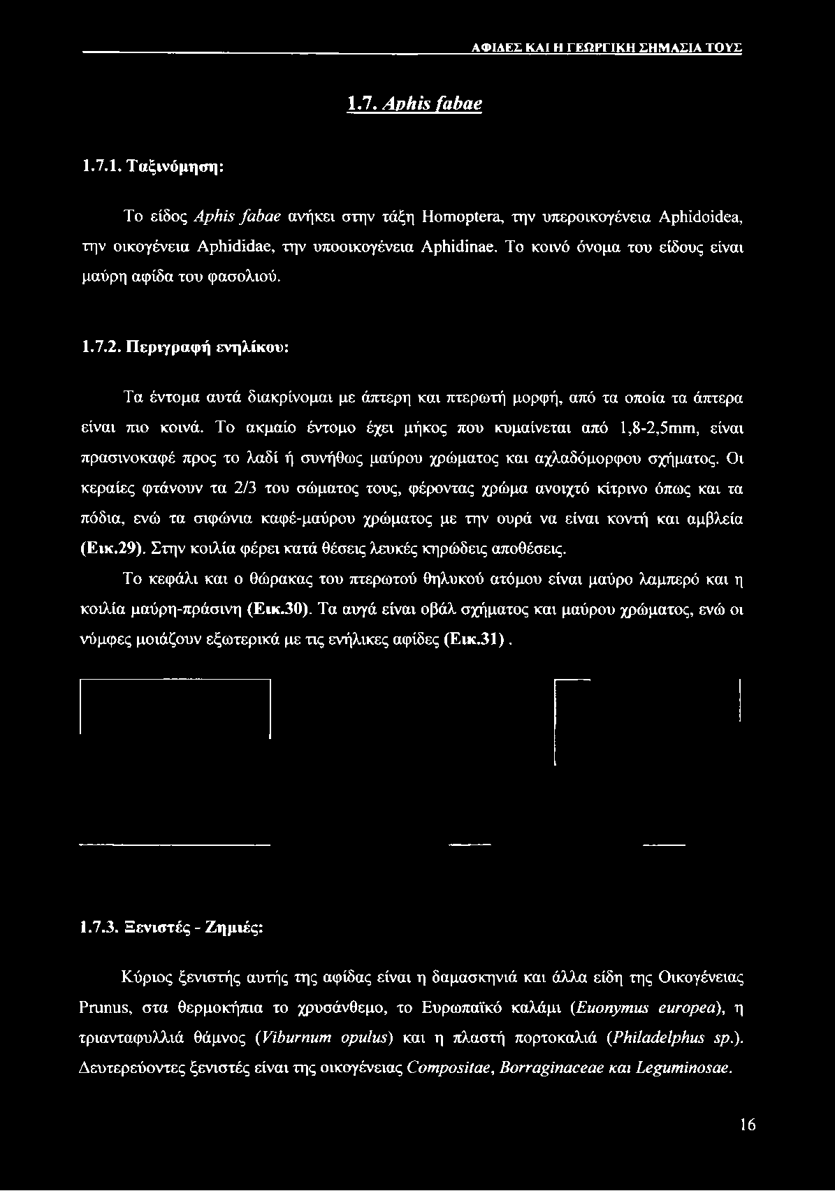 Περιγραφή ενηλίκου: Τα έντομα αυτά διακρίνομαι με άπτερη και πτερωτή μορφή, από τα οποία τα άπτερα είναι πιο κοινά.