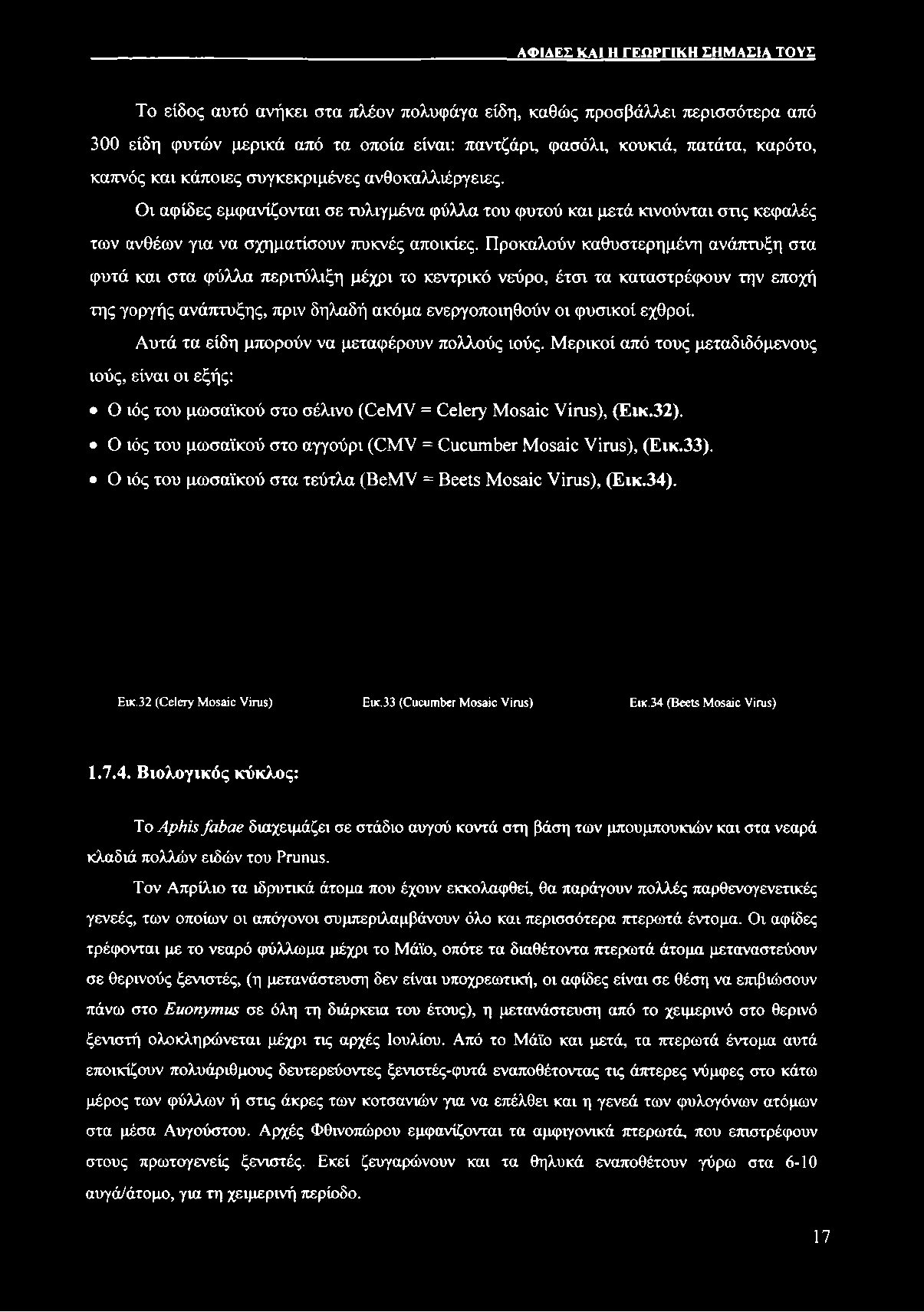 Προκαλούν καθυστερημένη ανάπτυξη στα φυτά και στα φύλλα περιτύλιξη μέχρι το κεντρικό νεύρο, έτσι τα καταστρέφουν την εποχή της γοργής ανάπτυξης, πριν δηλαδή ακόμα ενεργοποιηθούν οι φυσικοί εχθροί.