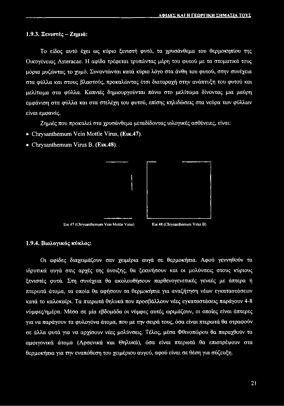 Συναντώνται κατά κύριο λόγο στα άνθη του φυτού, στην συνέχεια στα φύλλα και στους βλαστούς, προκαλώντας έτσι διαταραχή στην ανάπτυξη του φυτού και μελίτωμα στα φύλλα.