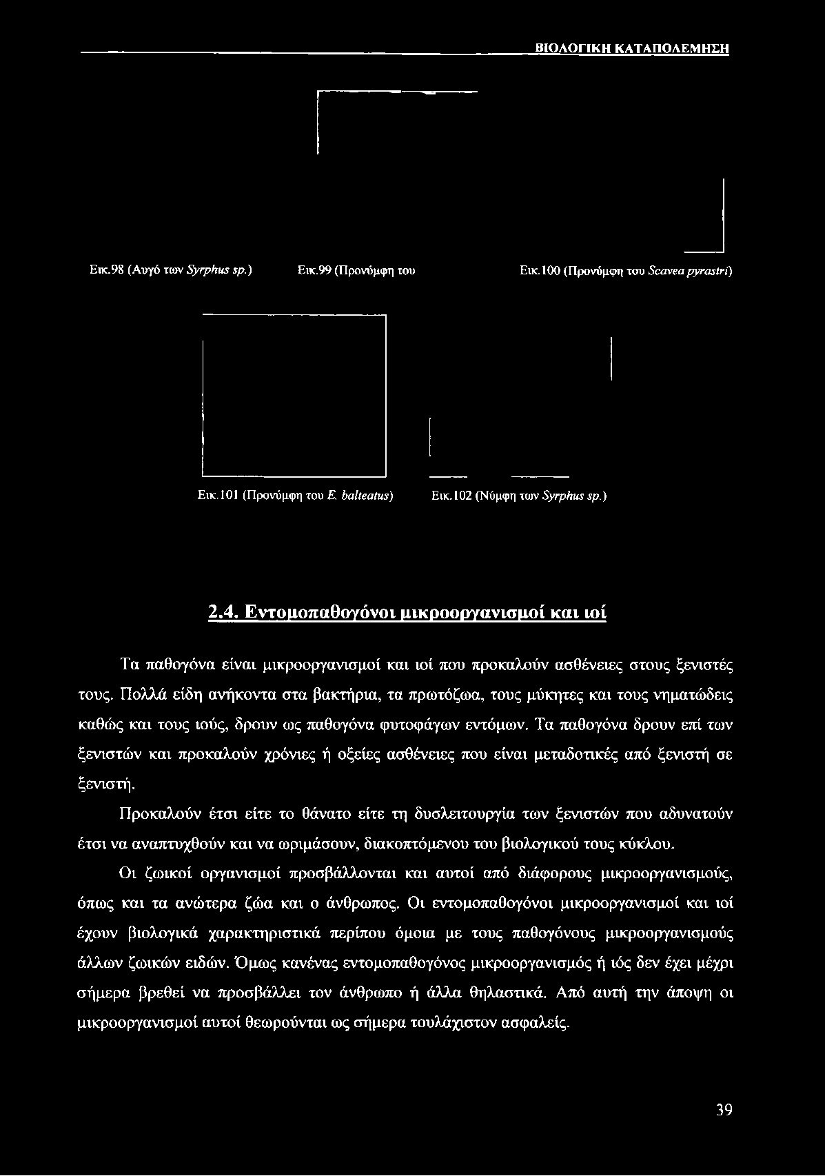 ΒΙΟΛΟΓΙΚΗ ΚΑΤΑΠΟΛΕΜΗΣΗ Εικ.98 (Αυγό των Εγερίιιιε ςρ.) Εικ.99 (Προνύμφη του Εχκ.100 (Προνύμφη του 8οανεαργταςίτί) Εχκ.101 (Προνύμφη του Ε. balteatus) Εχκ.102 (Νύμφη των Ξ γψ }ιμϊ ςρ.) 2.4.