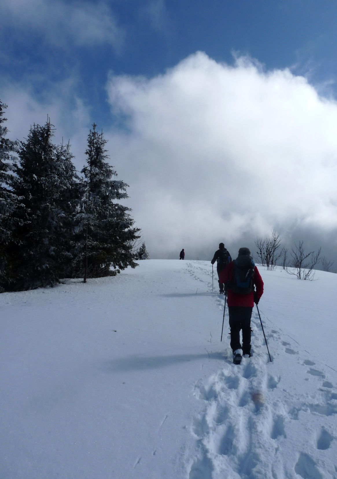 ΦΕΒΡΟΥΑΡΙΟΣ 2017 Πα-Κυ, 3-5 Χιονοδρομικό κέντρο στη Βουλγαρία για σκι. Λεπτομέρειες θα ανακοινωθούν έγκαιρα. Υπεύθ. - Πληροφ.