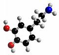 Dopamin C6H3(OH)2 CH2 CH2 NH2