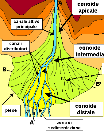 Μορφολογικά χαρακτηριστικά αλλουβιακών ριπιδίων Κανάλι τροφοδοσίας Κεφαλή ριπιδίου Κύρια κανάλια Μεσαίο τμήμα κώνου