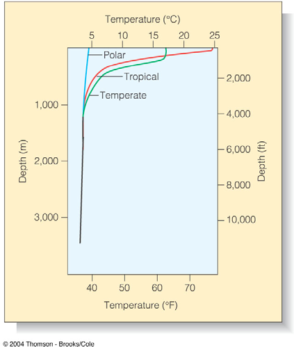 εύρος της οποίας κυμαίνεται από 0 έως 5 m, καθορίζεται από παράγοντες ανεξάρτητους από την ωκεάνια κυκλοφορία, όπως είναι η ποσότητα της ηλιακής ενέργειας και ο μηχανισμός θερμικής ανταλλαγής