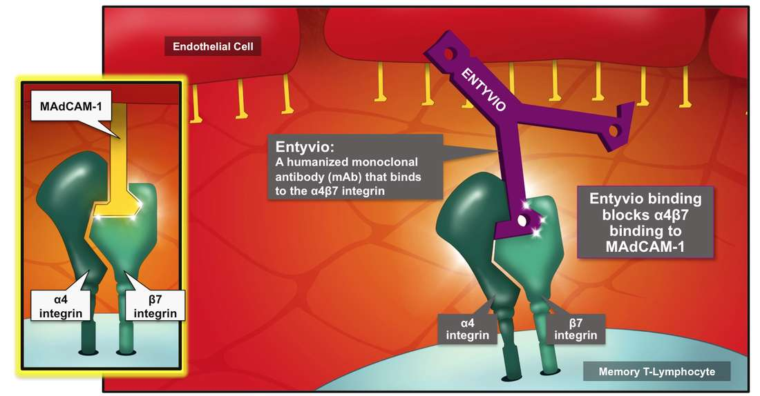 Vedolizumab Ανθρωποποιημένο μονοκλωνικό αντίσωμα IgG1 που συνδέεται στην