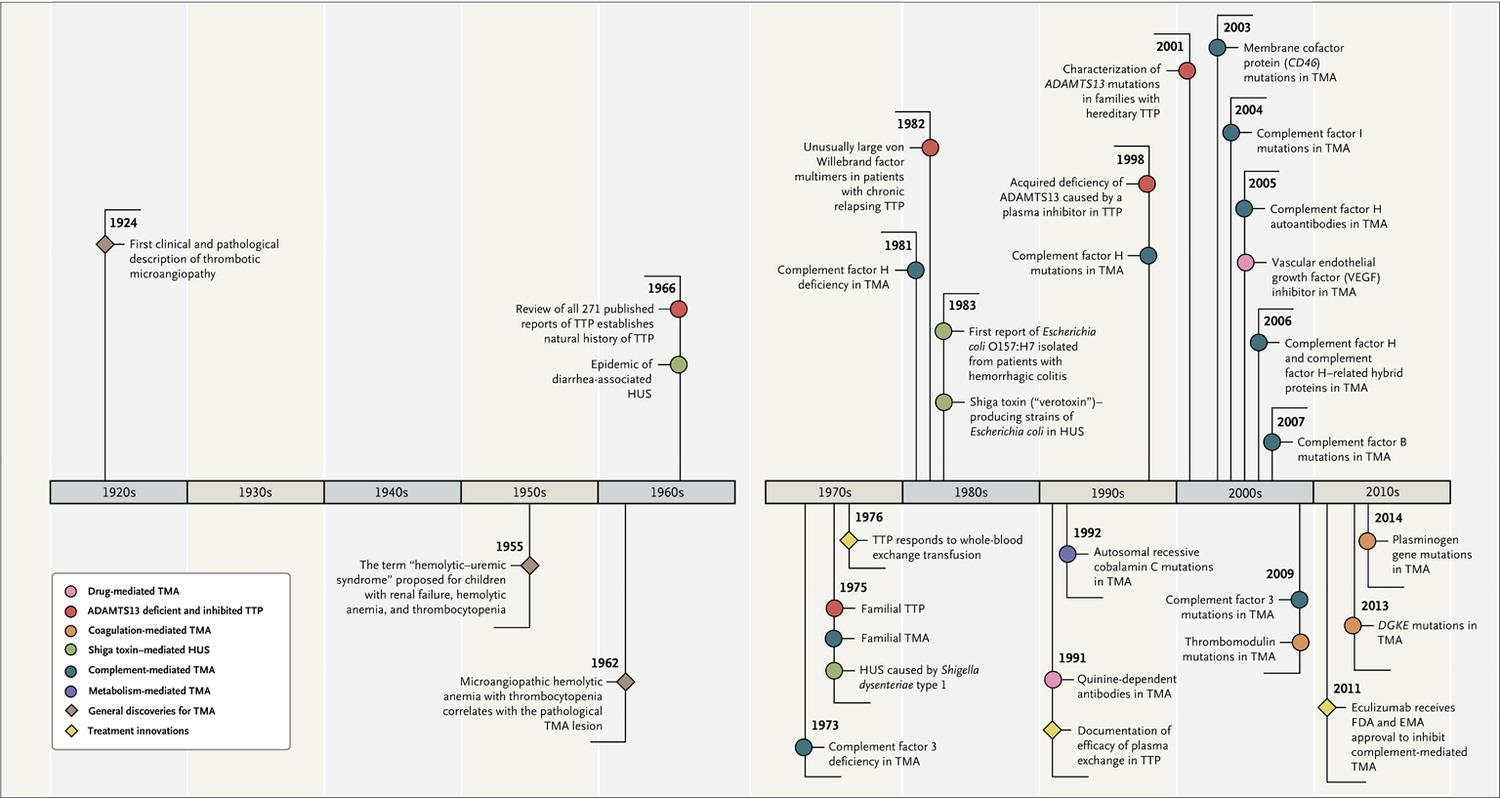 Θεραπευτικές προοπτικές Timeline of the Key Events in