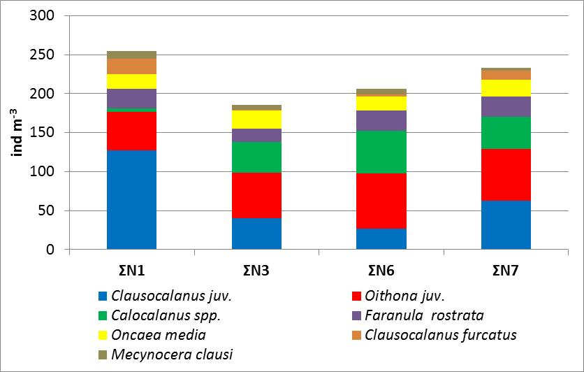 5.3. Στη σύνθεση των Κωπηπόδων συµµετείχαν πολλά είδη κυρίως πελαγικά, τα οποία παρουσίασαν παρόµοιες τιµές αφθονίας µεταξύ των σταθµών.
