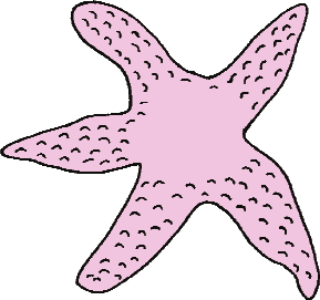 Θαλασσινό σχολείο Καλοκαιρινό σταυρόλεξο 1. Ζώο της θάλασσας που μοιάζει με αστέρι. 2. Στην παραλία καθόμαστε κάτω από αυτή για να μη μας καίει ο ήλιος. 3.