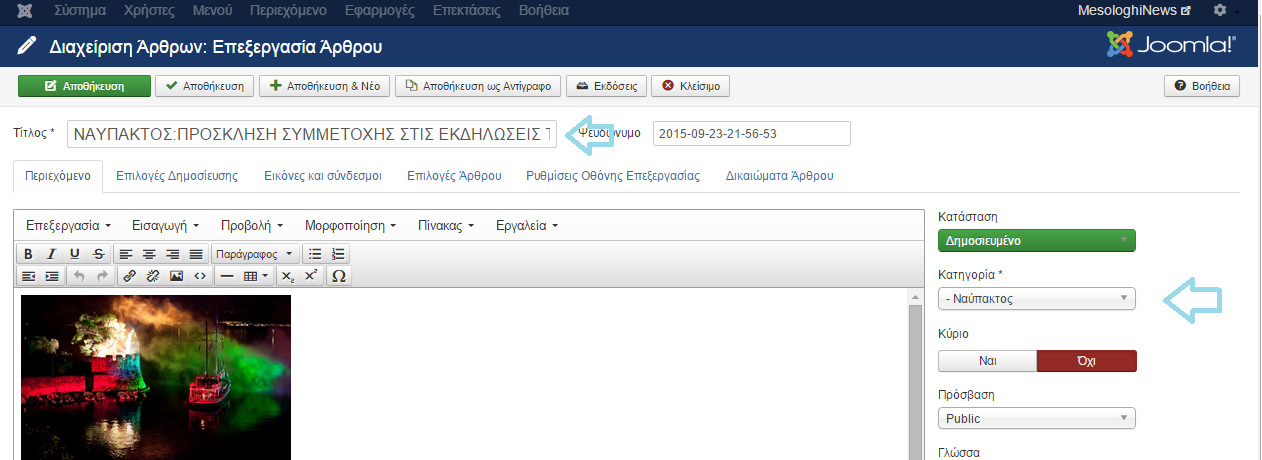 Εικόνα 28: Ρυθµίσεις προσθήκης νέου άρθρου.