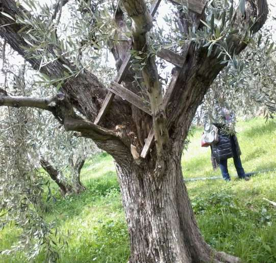 ΚΠΕ