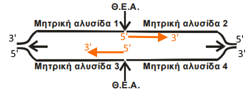 Στη ΘΕΑ, η αντιγραφή γίνεται και προς τις δύο κατευθύνεις.