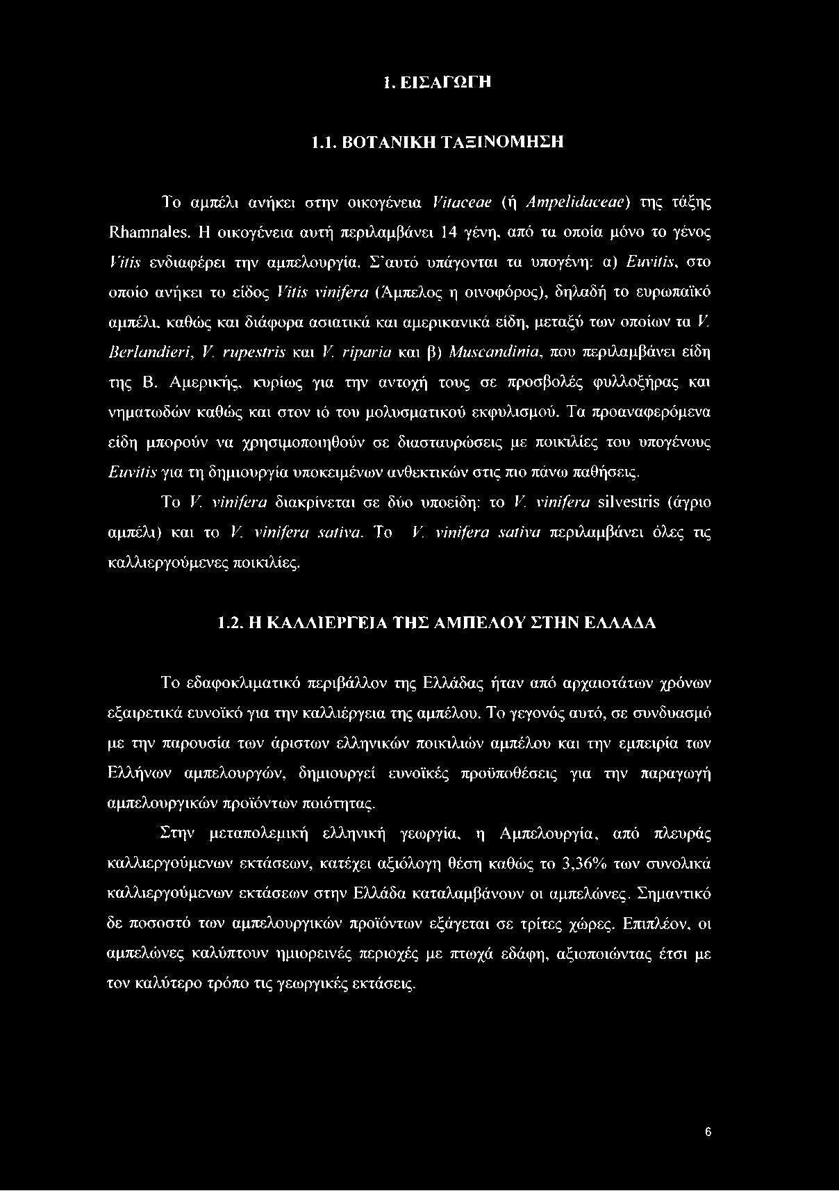 Σ αυτό υπάγονται τα υπογένη: α) Euvitis, στο οποίο ανήκει το είδος Vitis vinifera (Άμπελος η οινοφόρος), δηλαδή το ευρωπαϊκό αμπέλι, καθώς και διάφορα ασιατικά και αμερικανικά είδη, μεταξύ των οποίων