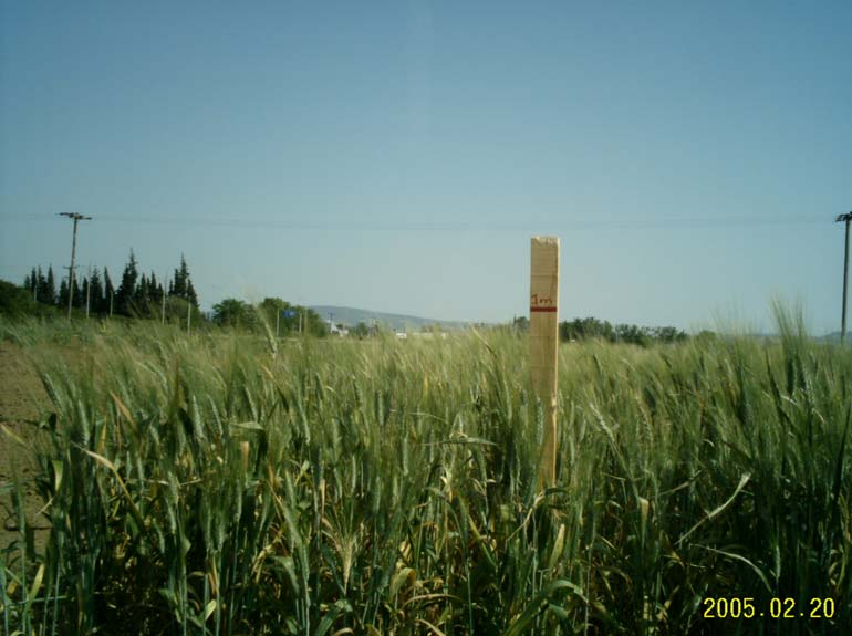 Εικόνα 7.
