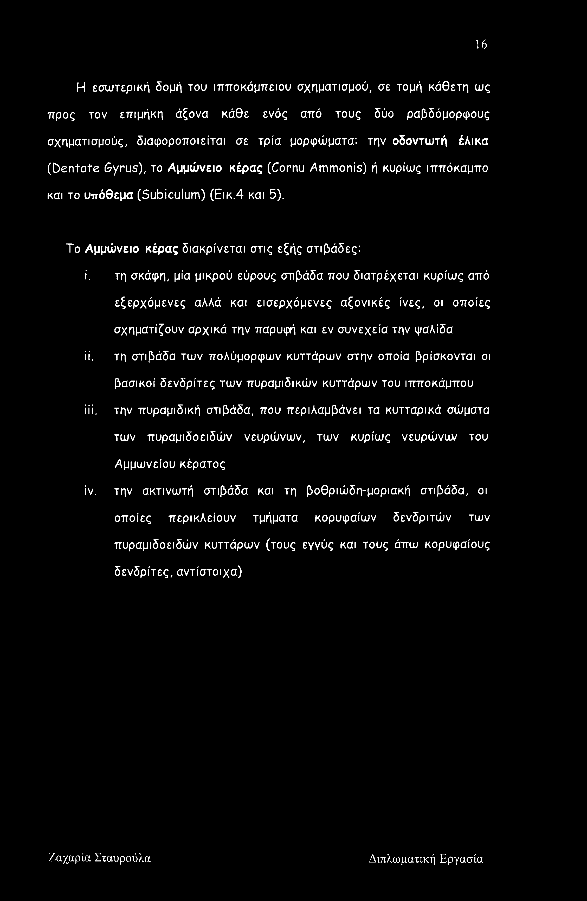 τη σκάφη, μία μικρού εύρους στιβάδα που διατρέχεται κυρίως από εξερχόμενες αλλά και εισερχόμενες αξονικές ίνες, οι οποίες σχηματίζουν αρχικά την παρυφή και εν συνεχεία την ψαλίδα ϋ.