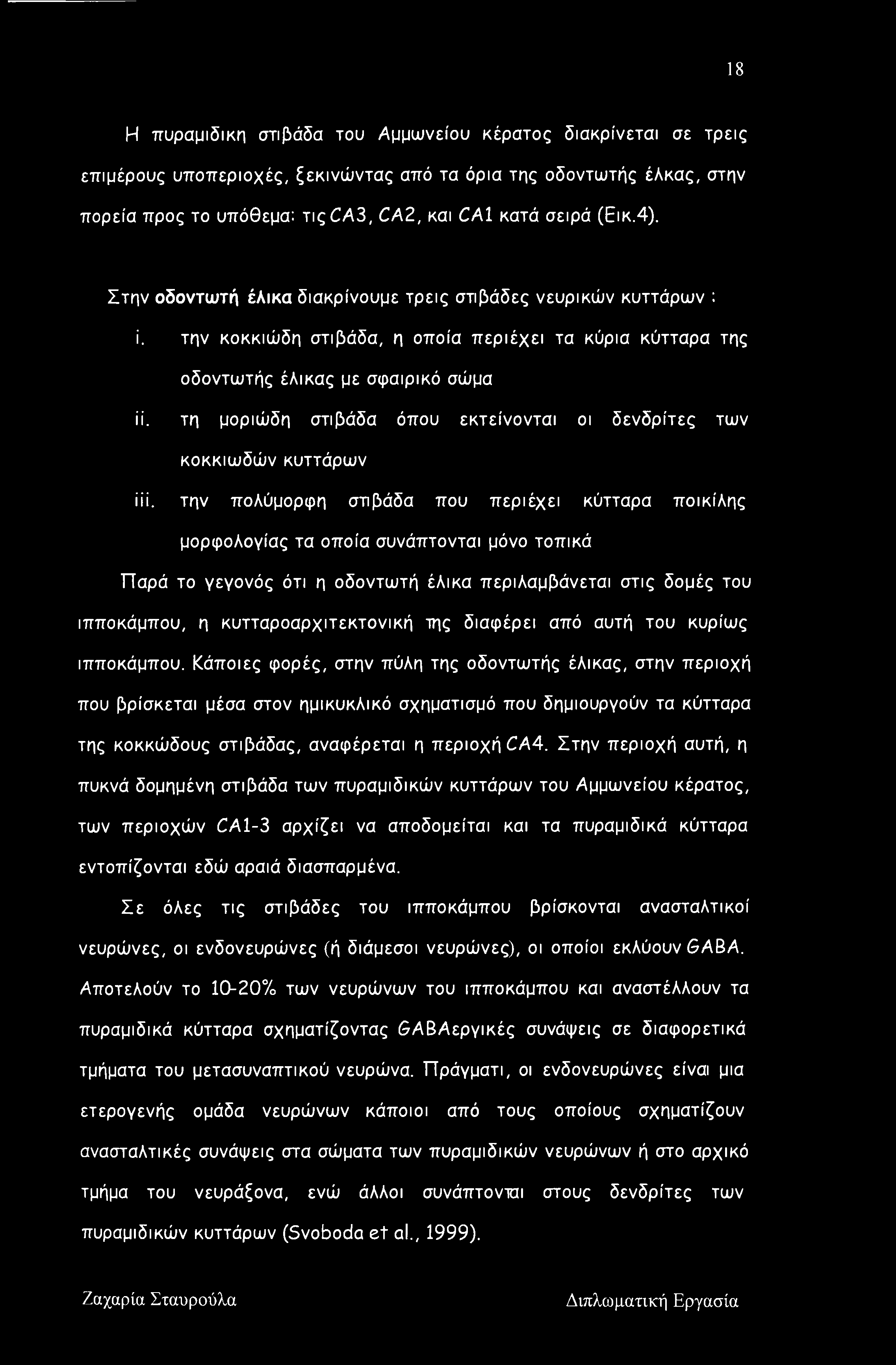 τη μοριώδη στιβάδα όπου εκτείνονται οι δενδρίτες των κοκκιωδών κυττάρων ίίί.