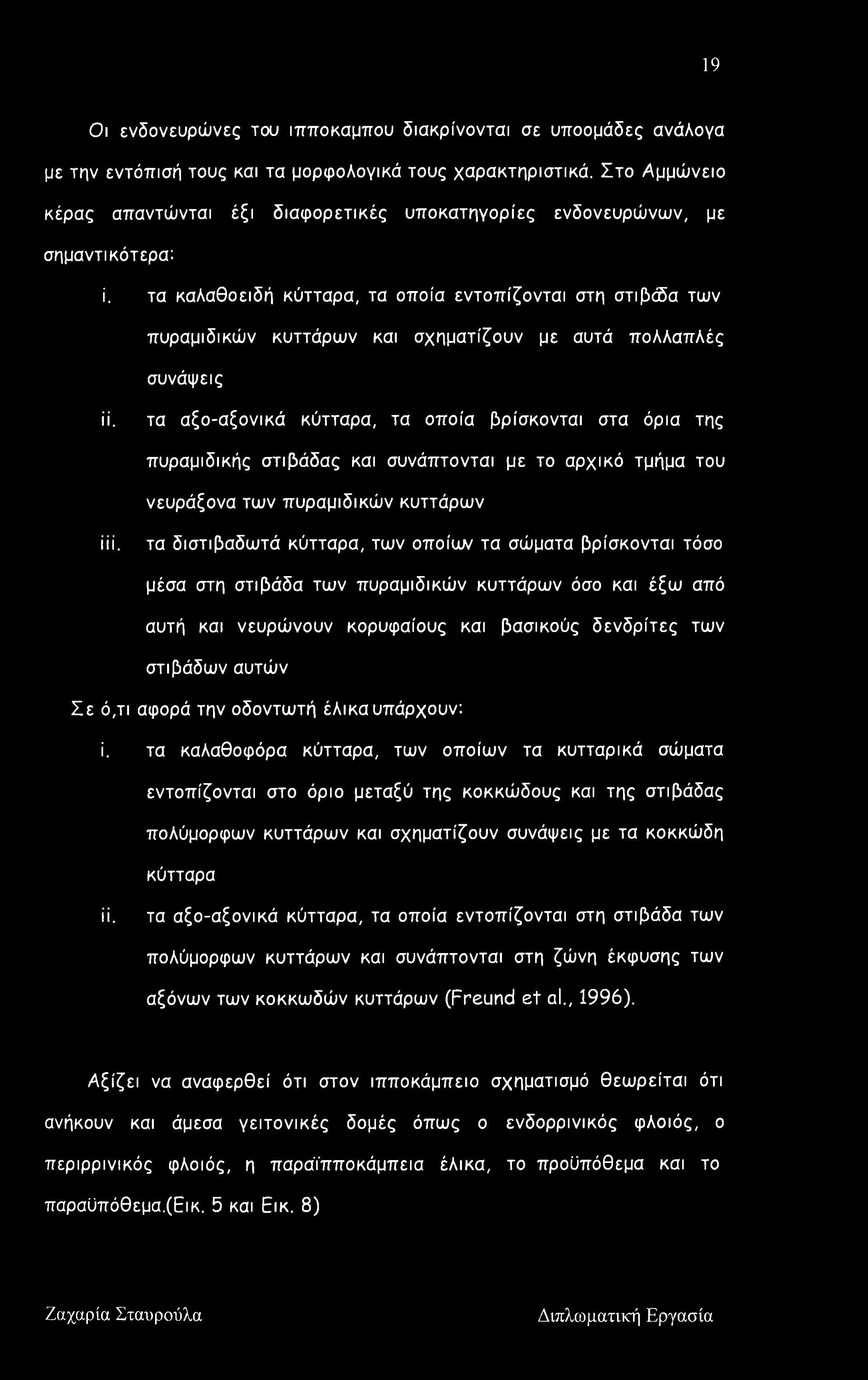 τα καλαθοειδή κύτταρα, τα οποία εντοπίζονται στη στιβόδα των πυραμιδικών κυττάρων και σχηματίζουν με αυτά πολλαπλές συνάψεις ιί.