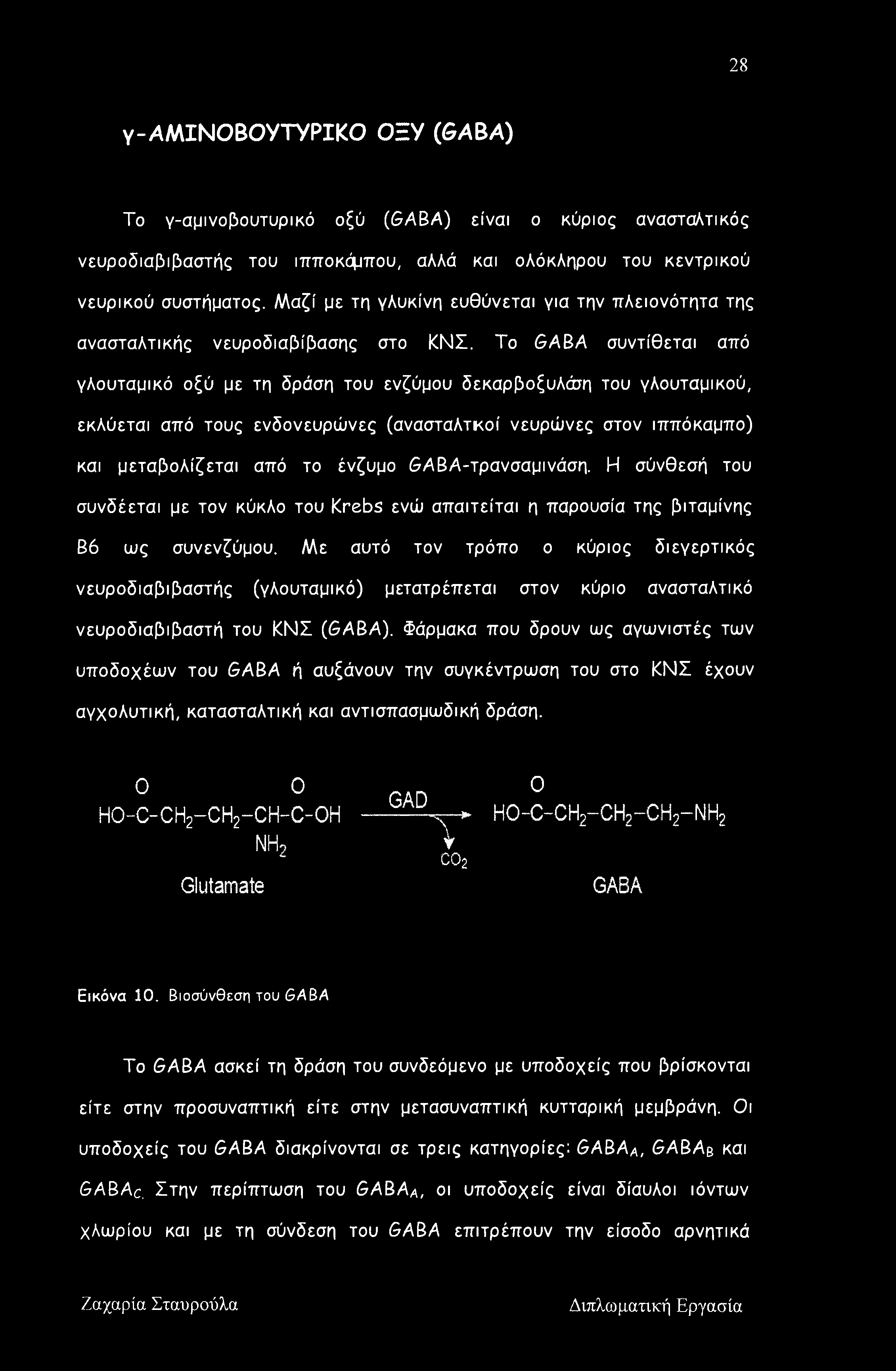 To GABA συντίθεται από γλουταμικό οξύ με τη δράση του ενζύμου δεκαρβοξυλάπι του γλουταμικού, εκλύεται από τους ενδονευρώνες (ανασταλτκοί νευρώνες στον ιππόκαμπο) και μεταβολίζεται από το ένζυμο