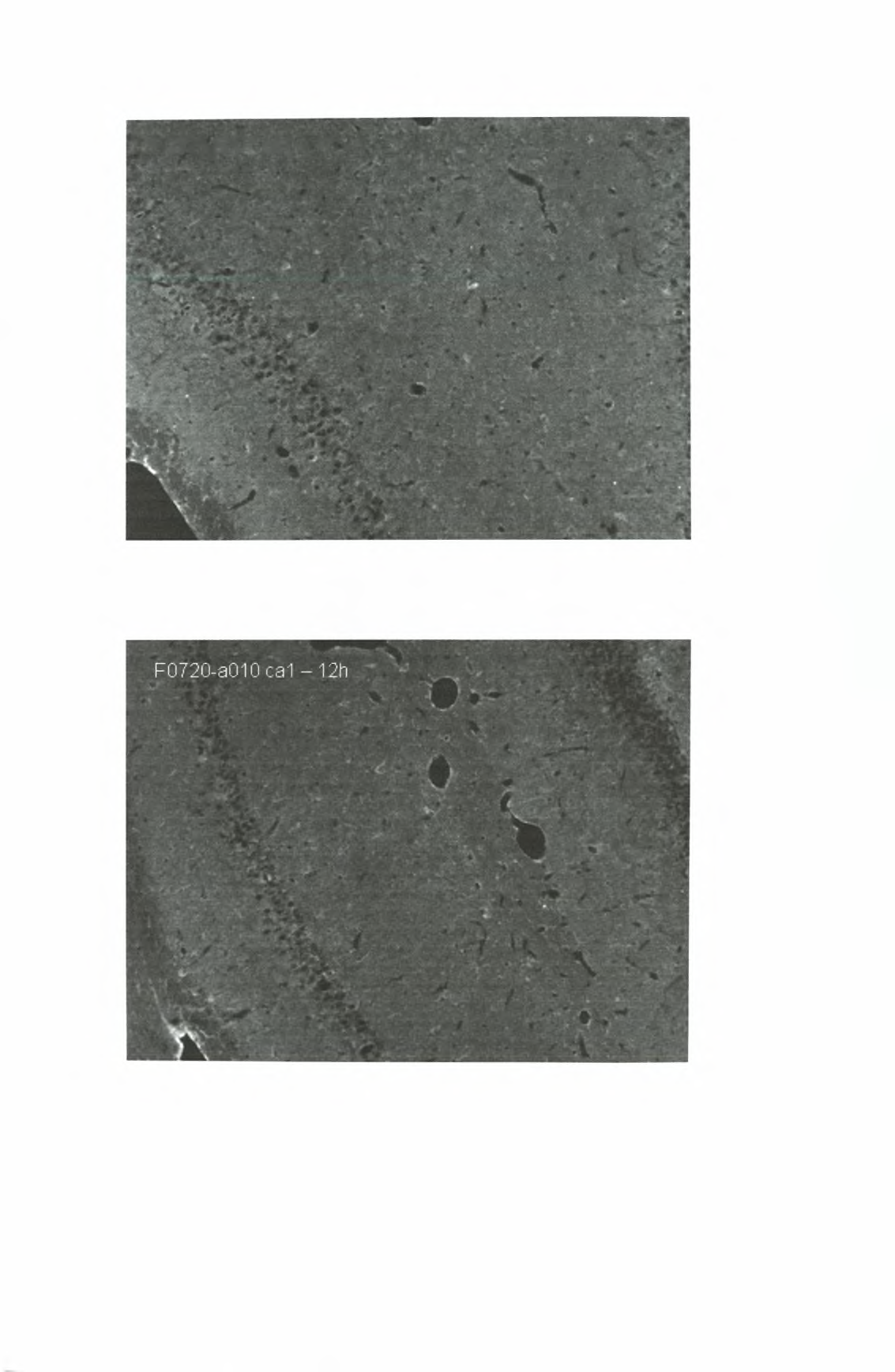 37 F0720-a007 cal 12h Εικόνα 13.