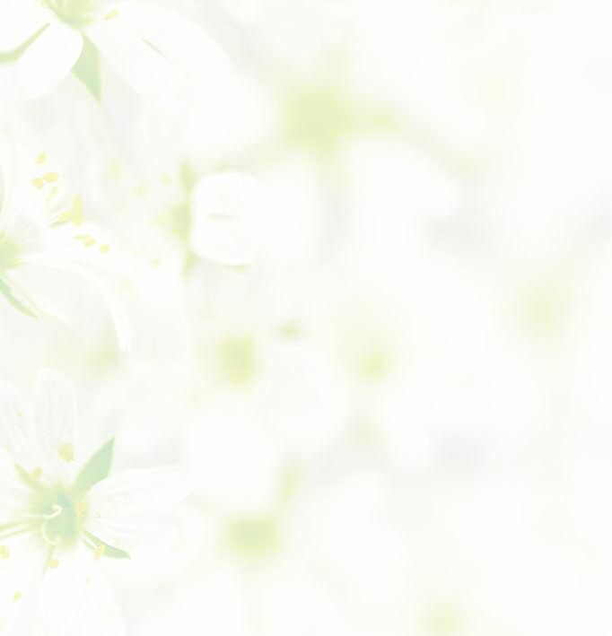Our Mother~ Anne Michals