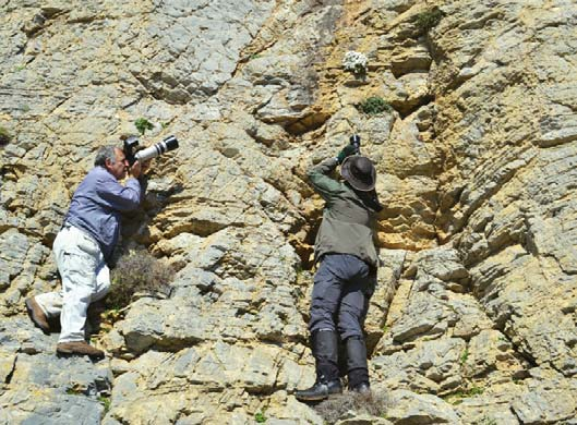 Αναπτύσσει δραστηριότητες όπως ο πεζοπορικός τουρισμός, ο φυσιολατρικός και ο τουρισμός ορνιθοπαρατήρησης που απευθύνονται σε ειδικές ομάδες επισκεπτών που προτιμούν να έρχονται στο νησί την άνοιξη ή