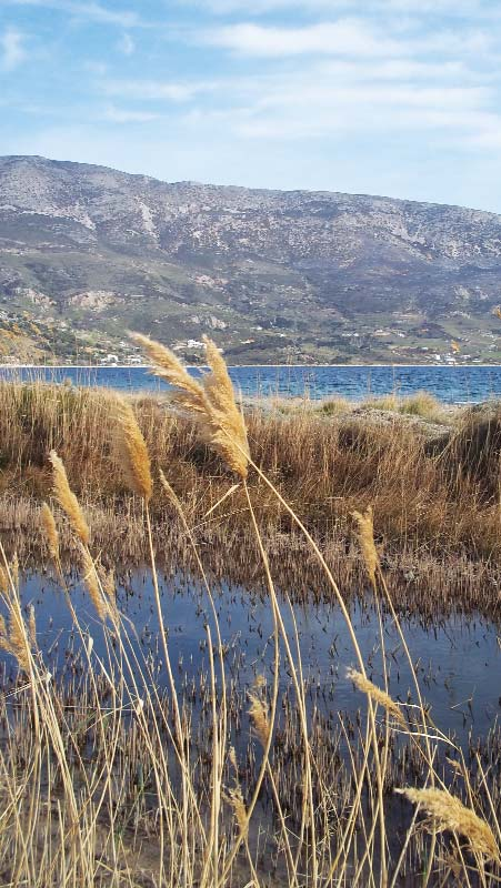 ζώων και των οικοσυστημάτων της Σκύρου και των γύρω νησίδων.