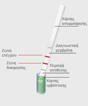 σύζευξη με λιποσώματα ή πρωτεΐνες, καθώς και παραμαγνητικά σωματίδια.