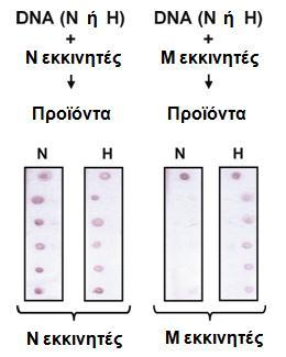 τα μεταλλαγμένα αλληλόμορφα. Τα αποτελέσματα της μελέτης παρουσιάζονται στο σχήμα 2.5.
