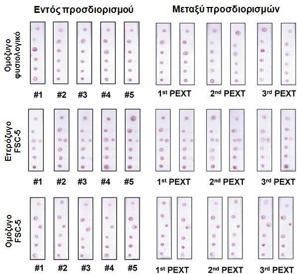 Σχήμα 2.6. Επαναληψιμότητα εντός προσδιορισμού και μεταξύ προσδιορισμών της προτεινόμενης μεθόδου.