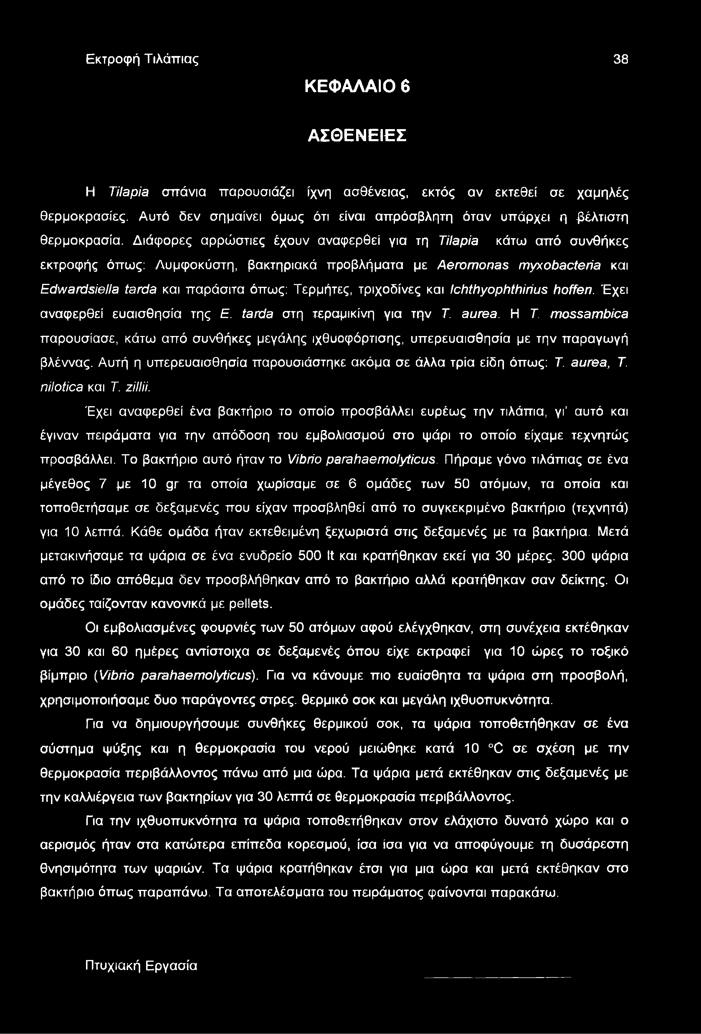 Διάφορες αρρώστιες έχουν αναφερθεί για τη Tilapia κάτω από συνθήκες εκτροφής όπως: Λυμφοκύστη, βακτηριακά προβλήματα με Aeromonas myxobacteria και Edwardsiella tarda και παράσιτα όπως: Τερμήτες,